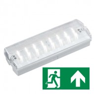 Taurus RDD-LDK, LED, schakelbaar/continue + nood, drukknop test, behuizing wit met heldere prismatische polycarbonaat lichtkap, 4500K / 150LM,  IP: 65, klasse: I, ta @ 25 gr. C  L350 x B120 x H65mm, inclusief accu , pictogrammen apart bestellen