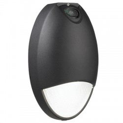 DropLED, 1x LED-R-1200-12W-1200lm-5000K, schakelbaar of lichtsensor + nood, met heldere prismatische polycarbonaat lichtkap, ta @ 25 gr. C., zwart, IP 65, klasse I
